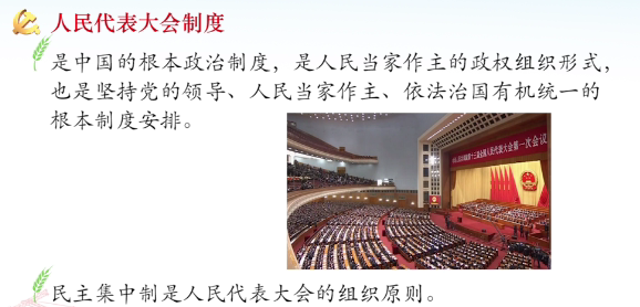 image-20220314151101926