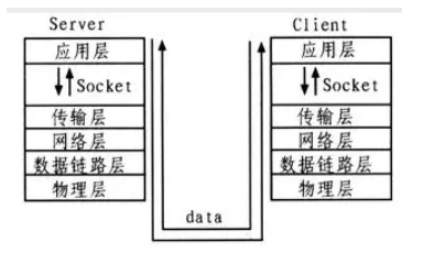 image-20220106121324942